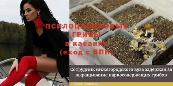 гидропоника Алексин