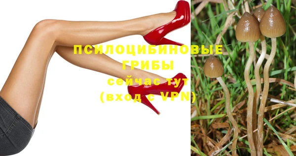 гидропоника Алексин