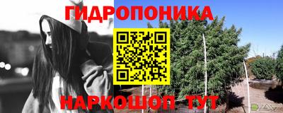 ПСИЛОЦИБИНОВЫЕ ГРИБЫ Северобайкальск