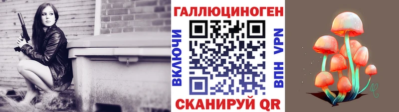 мега маркетплейс  Ставрополь  Псилоцибиновые грибы прущие грибы  сколько стоит 