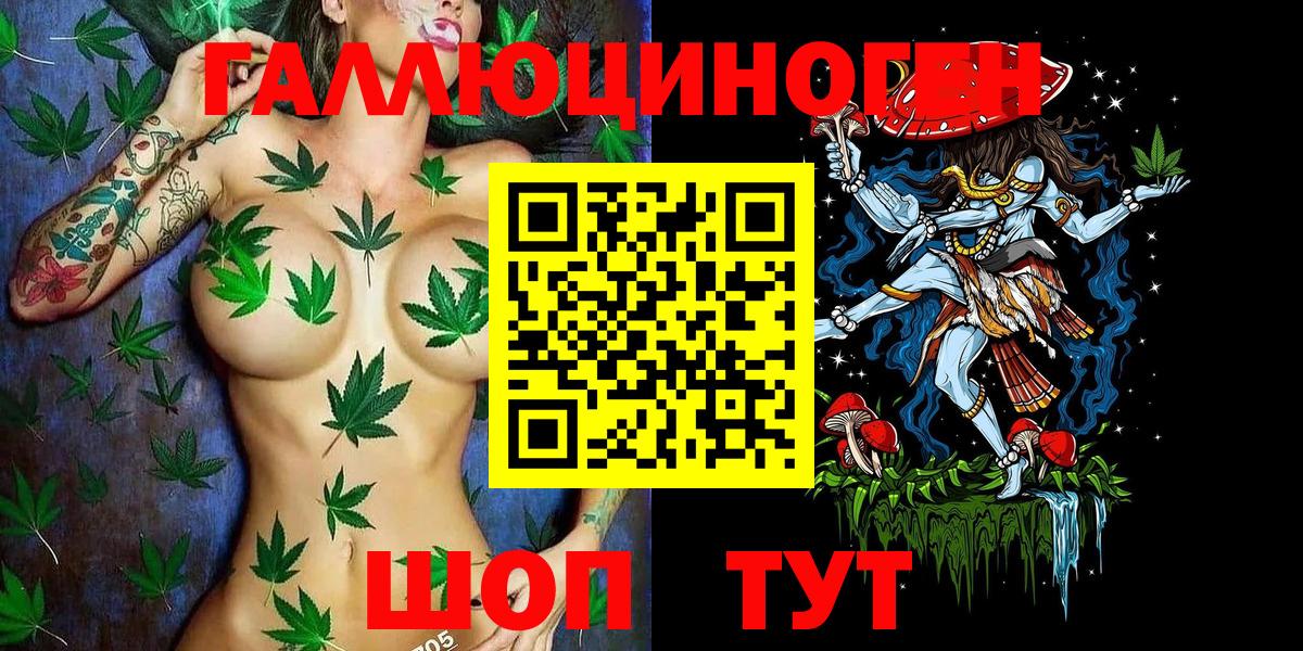 Псилоцибиновые грибы Psilocybine cubensis  Вход с VPN  Ставрополь  Галлюциногенные грибы мухоморы 