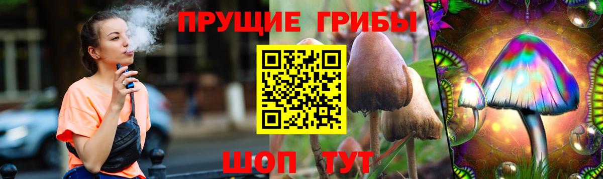 Галлюциногенные грибы мухоморы Ставрополь